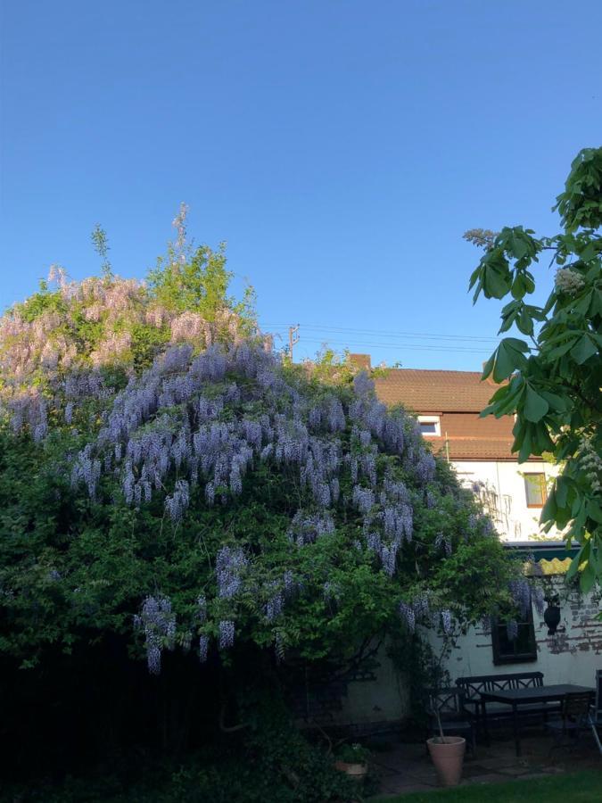 Saarlouis Innenstadt Im Gruenen ภายนอก รูปภาพ